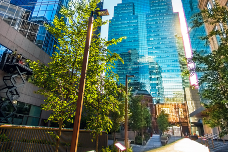 Explorando el programa Rural Entrepreneur Stream de Alberta